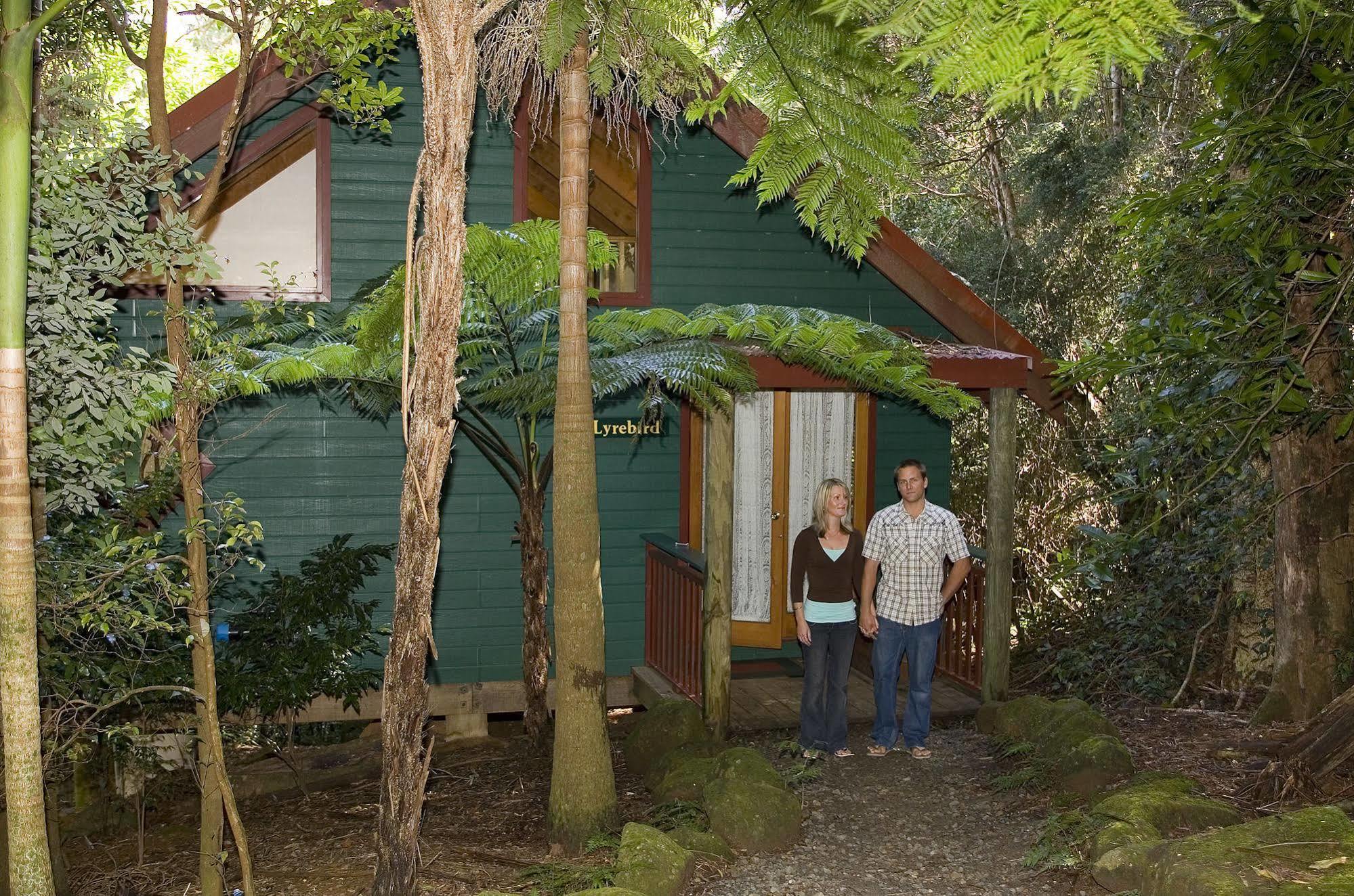 Villa Springbrook Lyrebird Retreat Extérieur photo