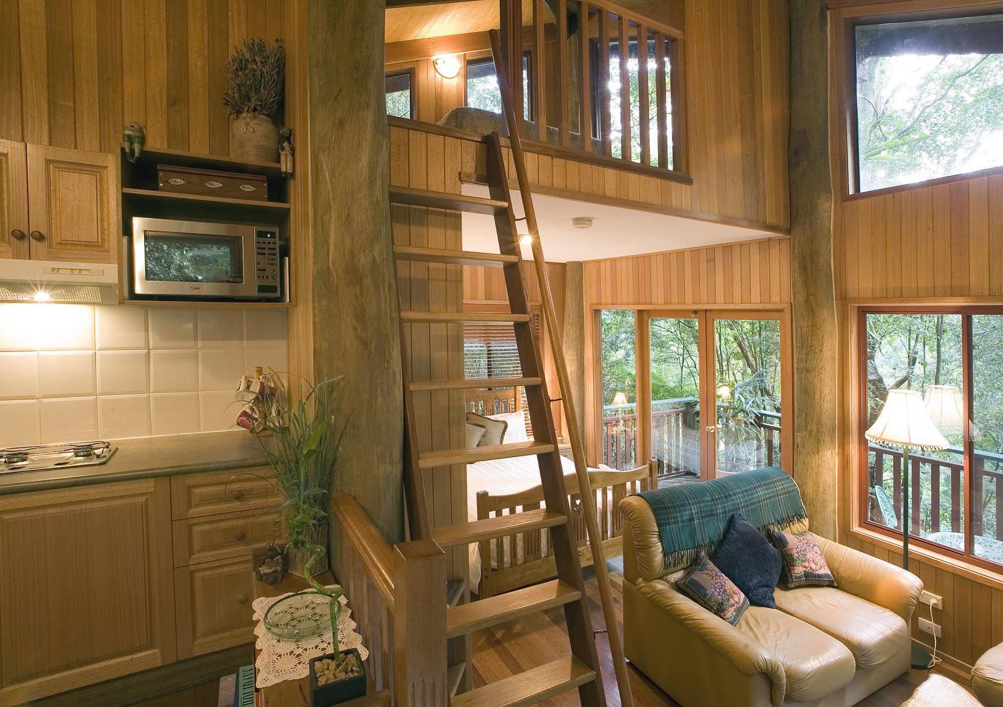 Villa Springbrook Lyrebird Retreat Extérieur photo