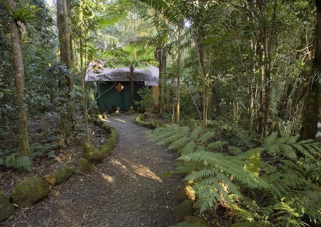 Villa Springbrook Lyrebird Retreat Extérieur photo