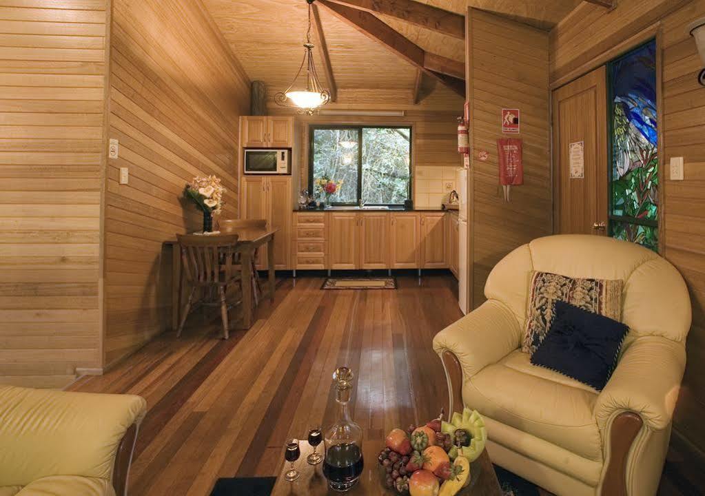 Villa Springbrook Lyrebird Retreat Extérieur photo