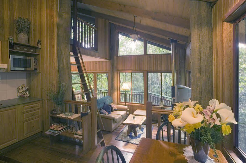 Villa Springbrook Lyrebird Retreat Extérieur photo